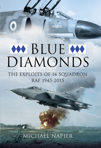 Cover image: Blue Diamonds 9781473823273