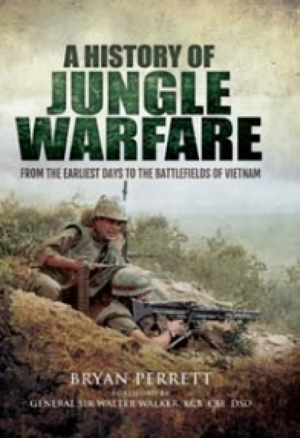 A History of Jungle Warfare From the Earliest Days to the Battlefields of Vietnam