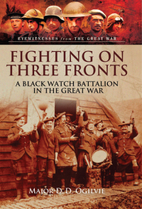 Cover image: Fighting on Three Fronts 9781473823327