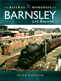 صورة الغلاف: Barnsley and Beyond 9781473856486