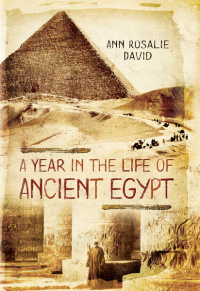 صورة الغلاف: A Year in the Life of Ancient Egypt 9781473822399