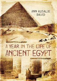 Imagen de portada: A Year in the Life of Ancient Egypt 9781473822399