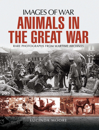 Cover image: Animals in the Great War 9781473862111