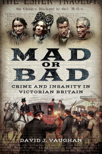 Cover image: Mad or Bad 9781473864139
