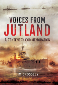 Cover image: Voices From Jutland 9781473823716