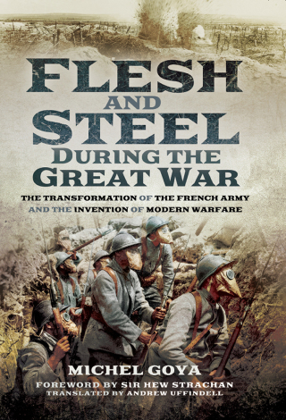 Cover image: Flesh and Steel During the Great War 9781473886964