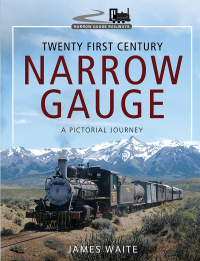 Cover image: Twenty First Century Narrow Gauge 9781473887671