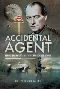 Cover image: Accidental Agent 9781473887817