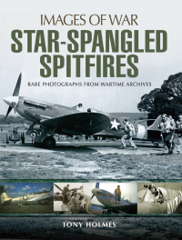 Titelbild: Star-Spangled Spitfires 9781473889231