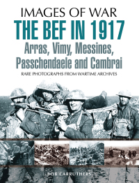 Cover image: The BEF in 1917 9781473837799