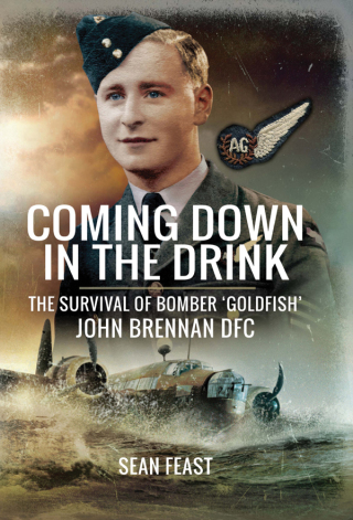 Imagen de portada: Coming Down in the Drink 9781473891531
