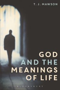 Immagine di copertina: God and the Meanings of Life 1st edition 9781474212540