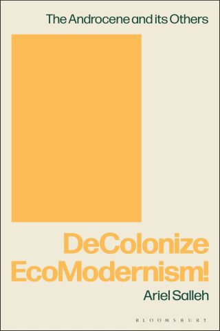 Titelbild: DeColonize EcoModernism! 1st edition 9781474277600