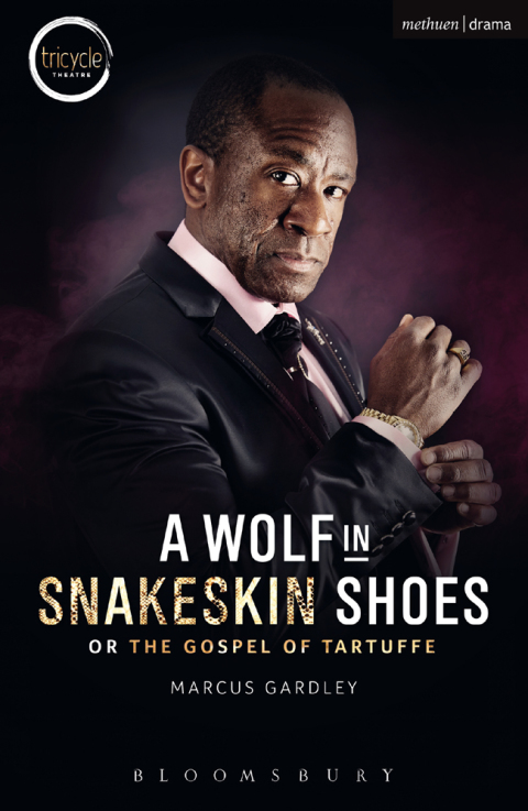 A Wolf in Snakeskin Shoes: In 1/35 scale, 1st Edition - FULL INSTANT DOWNLOAD | PDF DOCX EPUB
