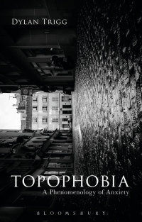 表紙画像: Topophobia 1st edition 9781474283229