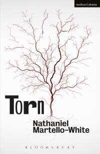 Cover image: Torn 1st edition 9781474292634