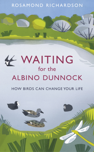 Cover image: Waiting for the Albino Dunnock 9781474603010