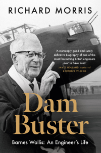 Cover image: Dam Buster 9781474623421