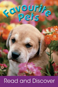 Imagen de portada: Favourite Pets 9781407595030