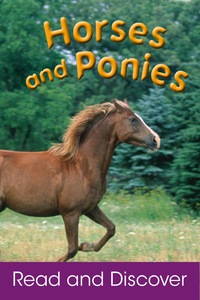 Imagen de portada: Horses and Ponies 9781407518299
