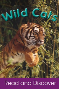 Imagen de portada: Wild Cats 9781407558219