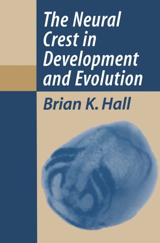 Imagen de portada: The Neural Crest in Development and Evolution 9780387987026