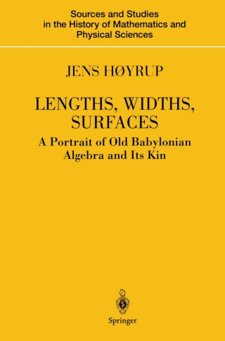 Imagen de portada: Lengths, Widths, Surfaces 9781441929457