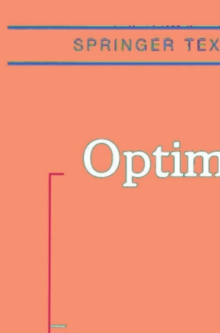 Imagen de portada: Optimization 9780387203324