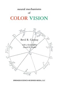 Imagen de portada: Neural Mechanisms of Color Vision 9781402070921