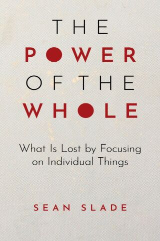 Cover image: The Power of the Whole 1st edition 9781475873672