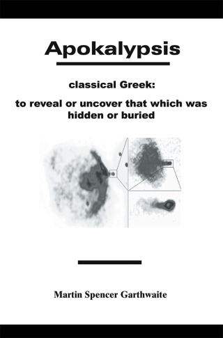 Cover image: Apokalypsis 9780595209088