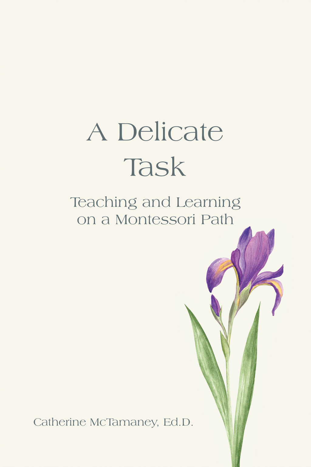 A Delicate Task (eBook)