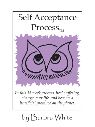 Imagen de portada: Self Acceptance Process 9781475933949