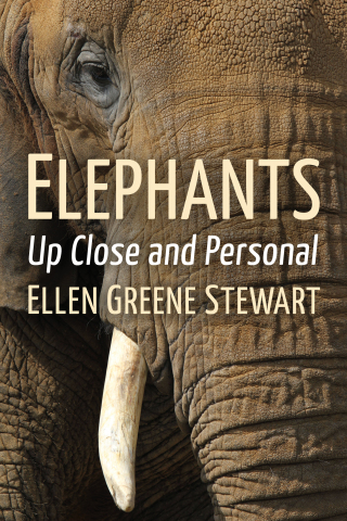 Imagen de portada: Elephants 9781476687797