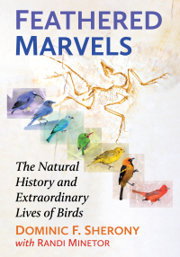 Cover image: Feathered Marvels 9781476691886