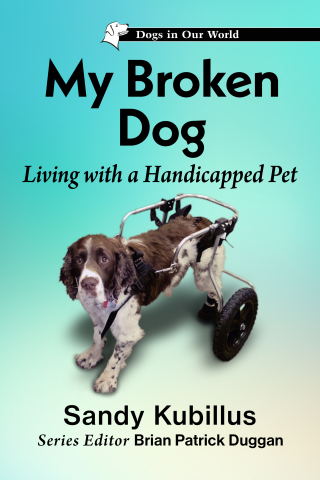 Imagen de portada: My Broken Dog 9781476694863