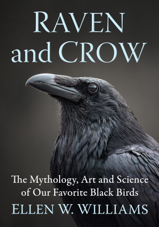 Titelbild: Raven and Crow 9781476695006