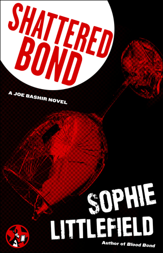 Cover image: Shattered Bond