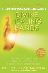 Cover image: Divine Healing Hands 9781476714424