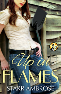 Cover image: Up in Flames