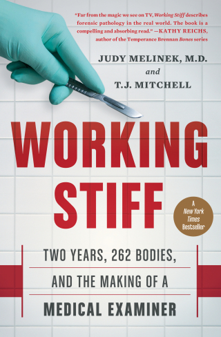 Cover image: Working Stiff 9781476727264