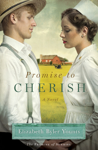 Cover image: Promise to Cherish 9781476735030
