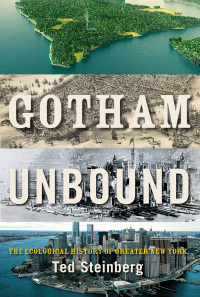 Cover image: Gotham Unbound 9781476741284