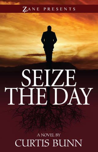 Cover image: Seize the Day 9781593095741
