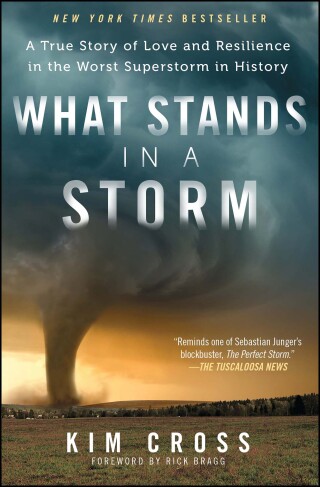 Cover image: What Stands in a Storm 9781476763071