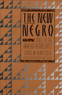 Cover image: The New Negro 9780684838311