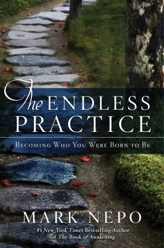 Cover image: The Endless Practice 9781476774664