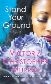 Cover image: Stand Your Ground 9781501145773