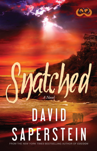 Cover image: Snatched 9781593096465