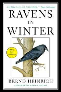 Cover image: Ravens in Winter 9781476794563